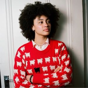 Warm and Wonderful Diana "Black Sheep" Sweater